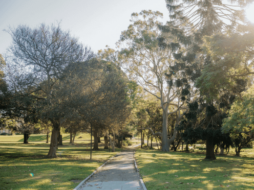 Trees and Walkway in Callan park