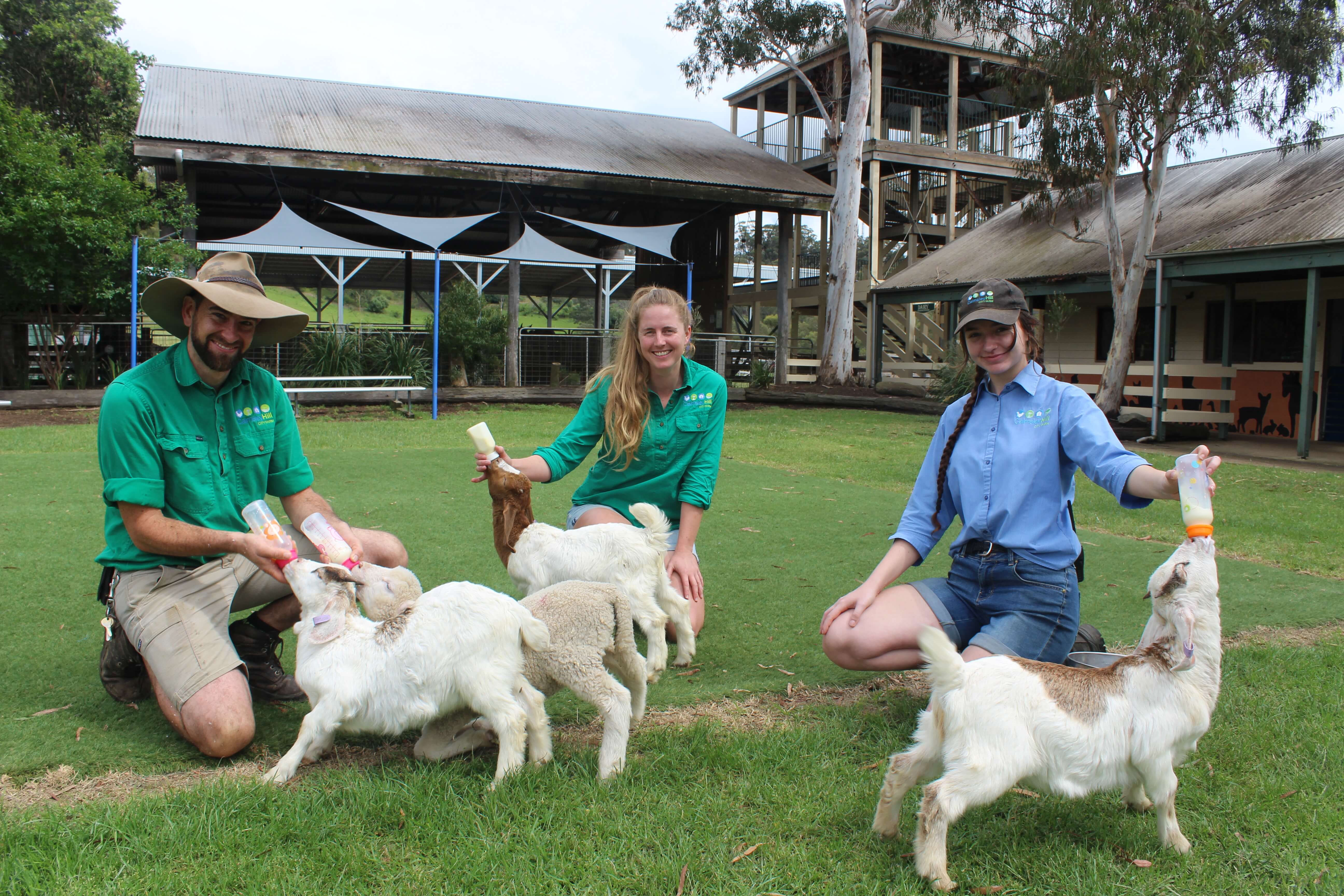 Calmsley Hill City Farm