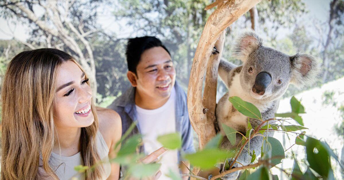 Sydney Zoo 