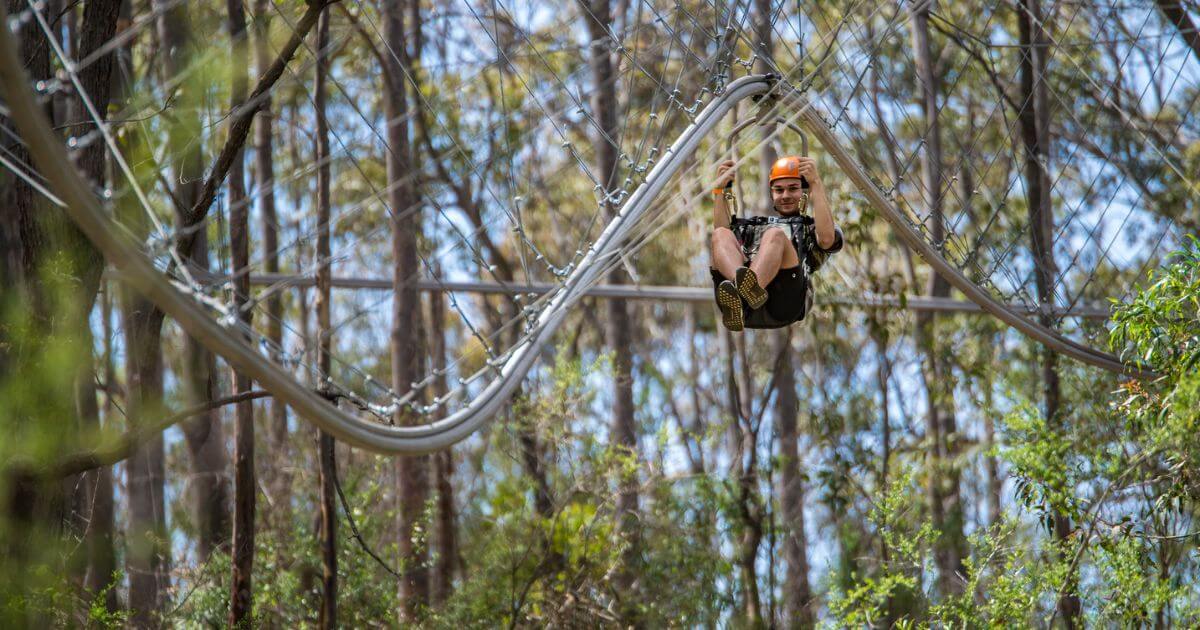 Treetops 