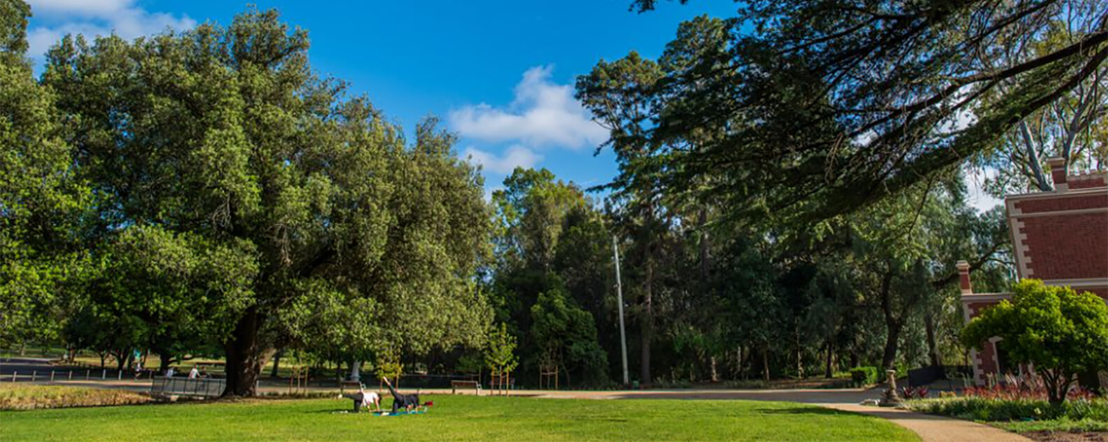 People doing yoga at Murray gardens.