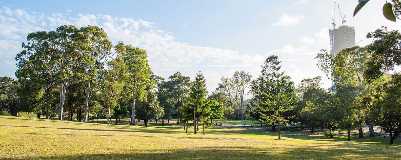 A beautiful park with vibrant green grass and shady trees on a hillside, ideal for picnics and outdoor fun.