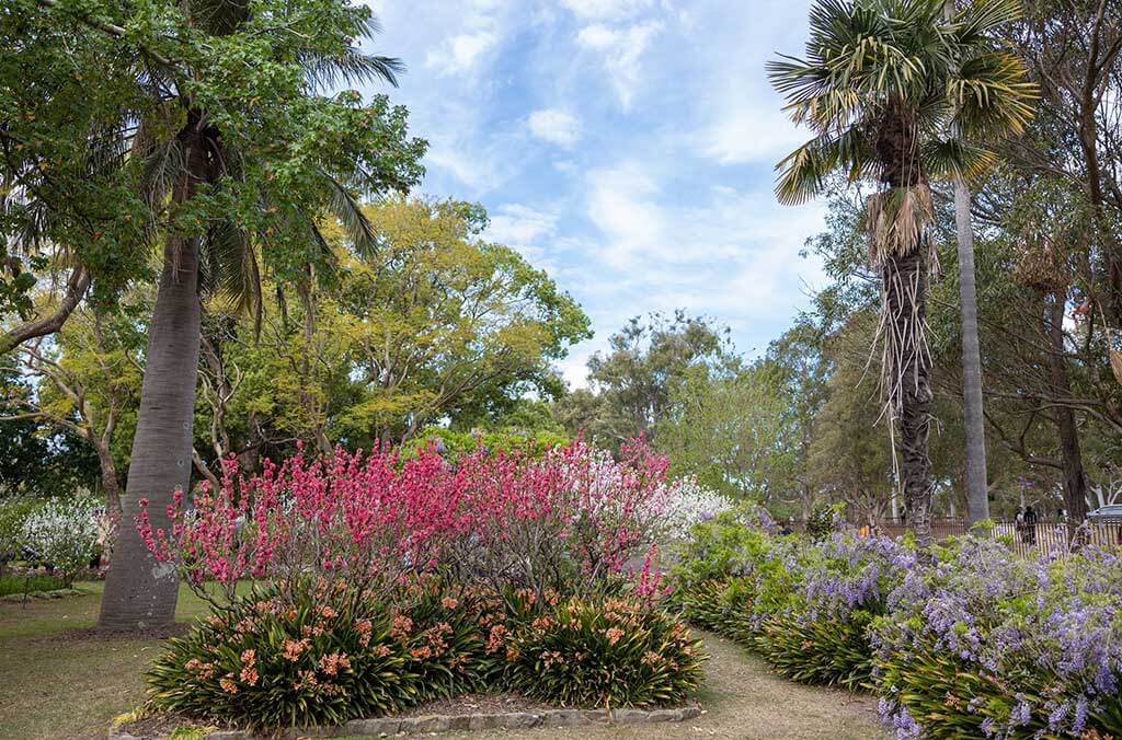 A charming park trail featuring a big tree and vibrant flowers, creating a beautiful scene for a leisurely walk.