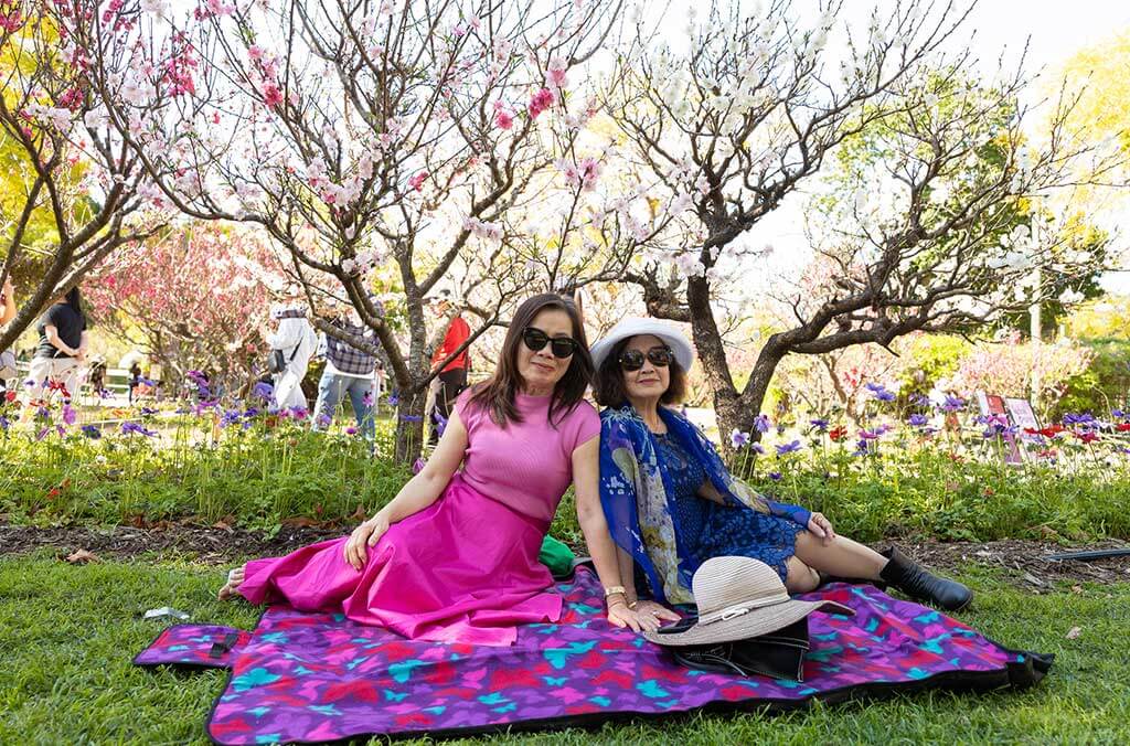 Two women relax on a blanket under a tree in Wistaria gardens, enjoying a sunny day together.