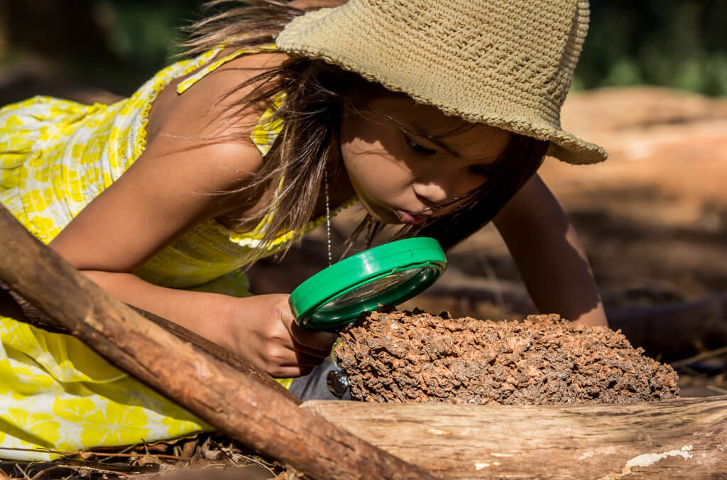 Young Asian girl looking at insects with a magnifying glass