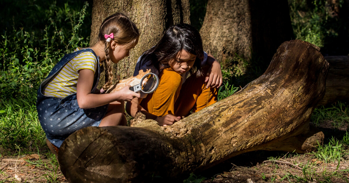 Two children looking at insects in a log with a magnifying glass