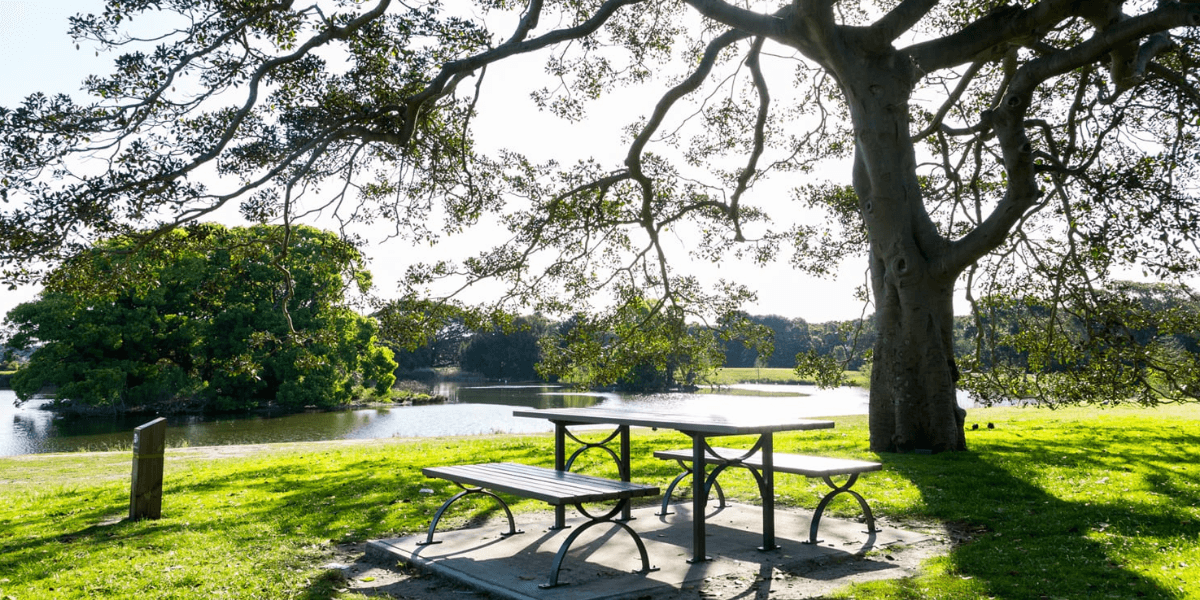 Willow Pond shelter.