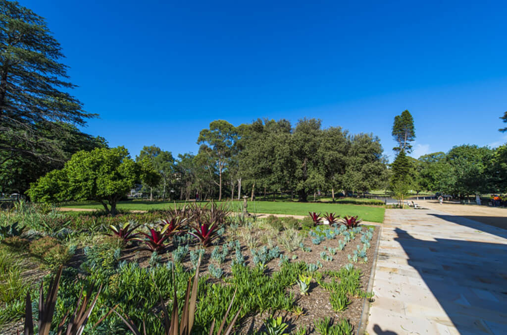 Vast blue sky with trees and plants in view at Murray gardens.