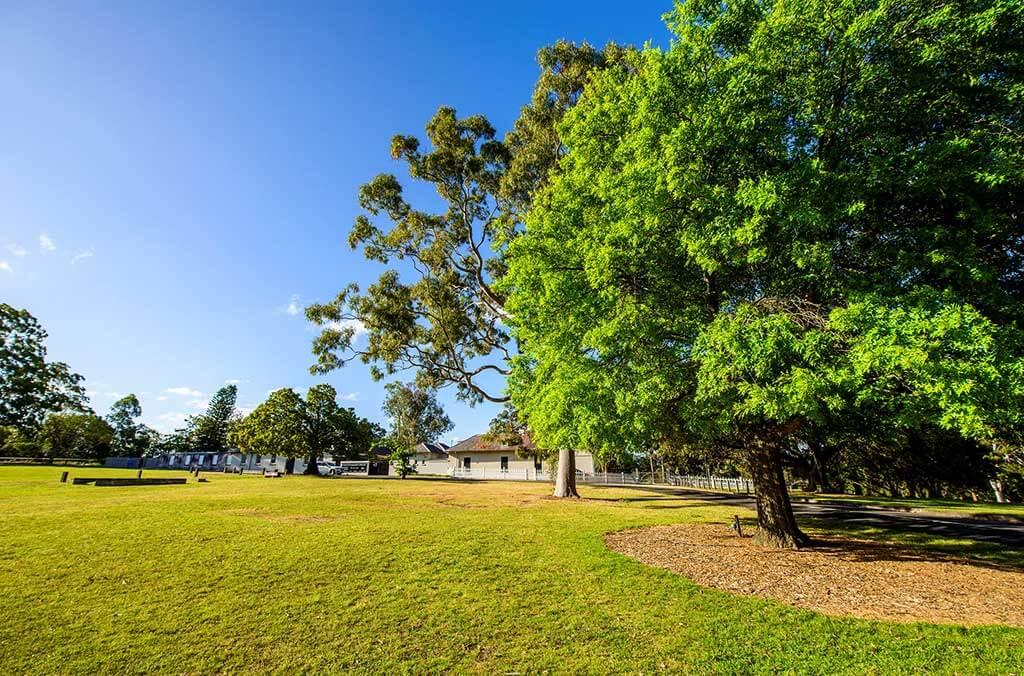 A grassy field with trees surrounding the old government house in the background, creating a peaceful outdoor scene.