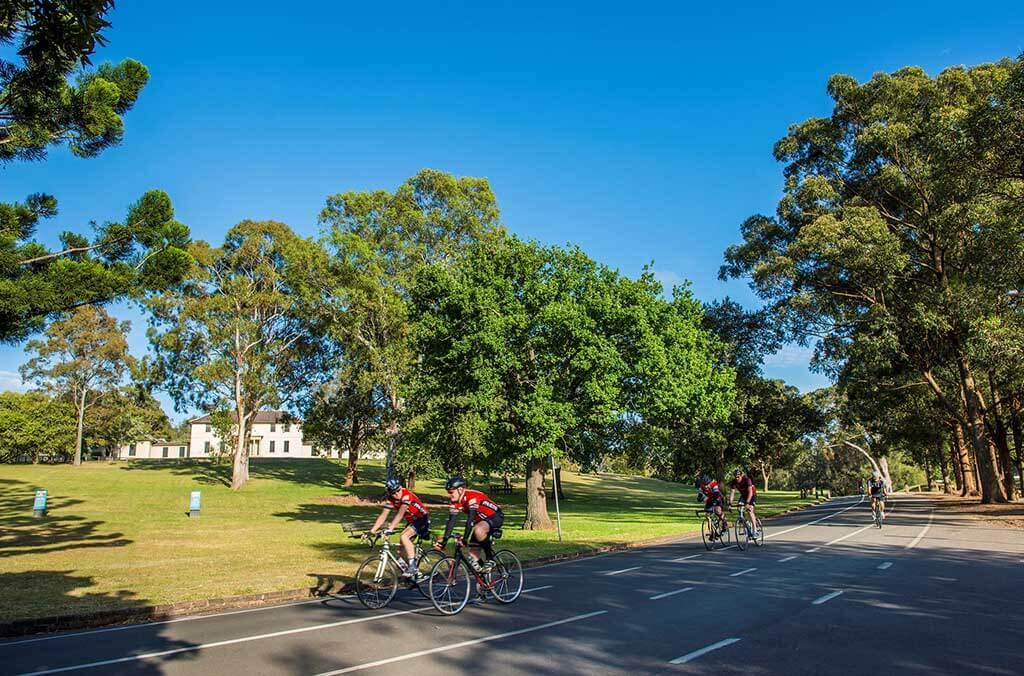 Several cyclists riding their bikes on a road, surrounded by trees and enjoying a fun day outside.